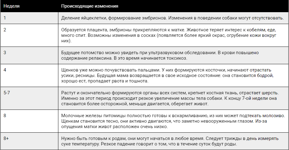 Календарь беременности собаки по дням Дрессировка полицейских собак (Роберт Герсбах) Страница 48 ЛитВек Читать онл
