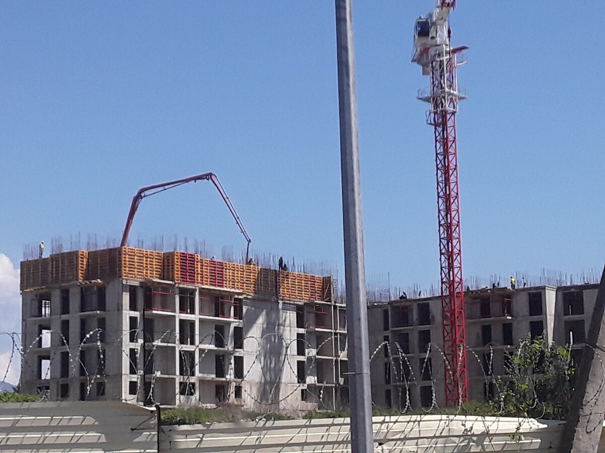 Растут жк Фрукты в Адлере