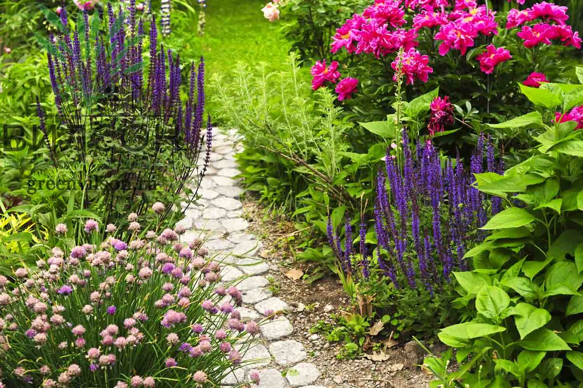 Фото: https://www.shutterstock.com