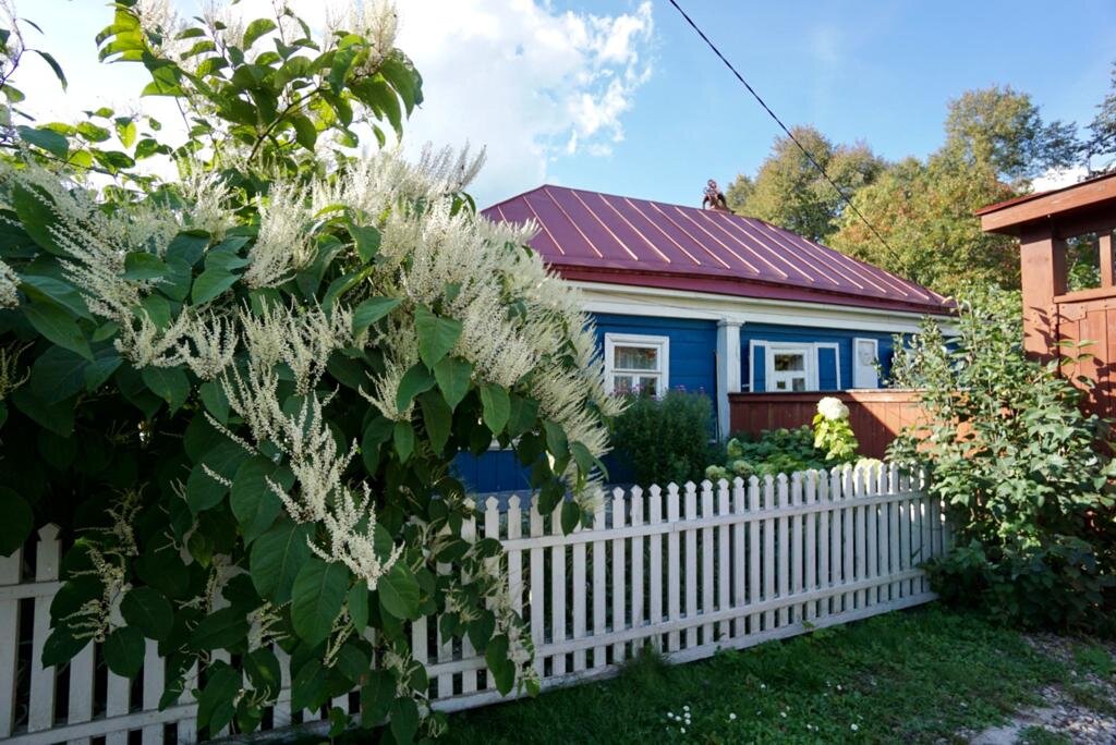 Дом Паустовского находится буквально в 5 минутах ходьбы от нашего.