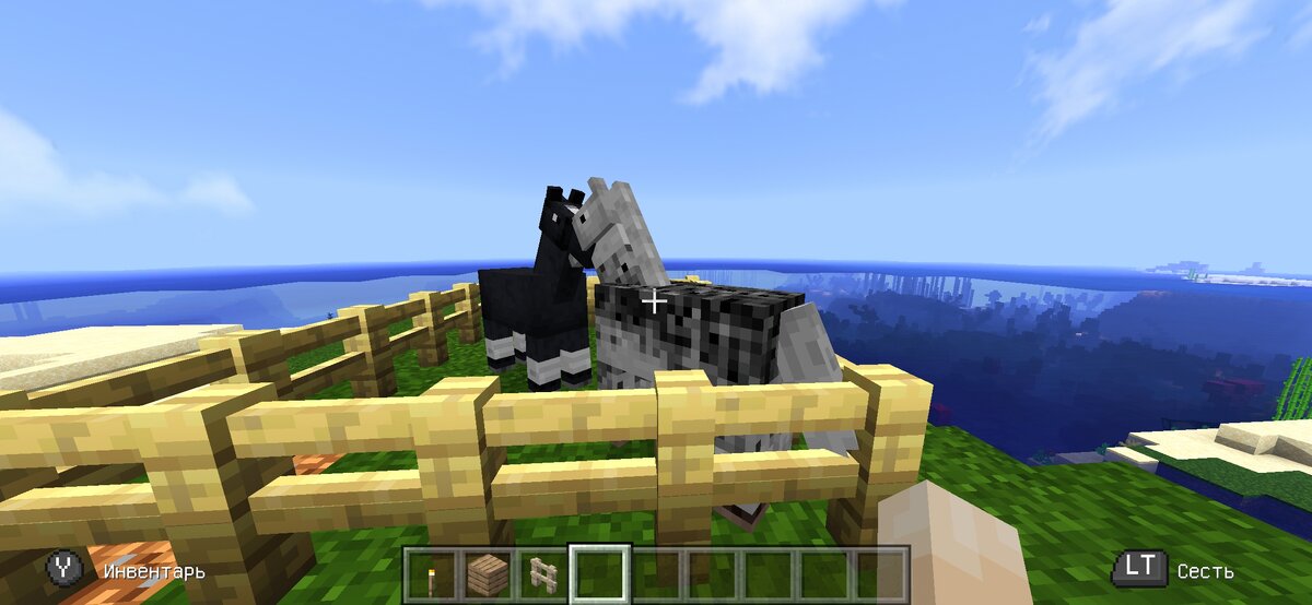 Minecraft: Pocket Edition 