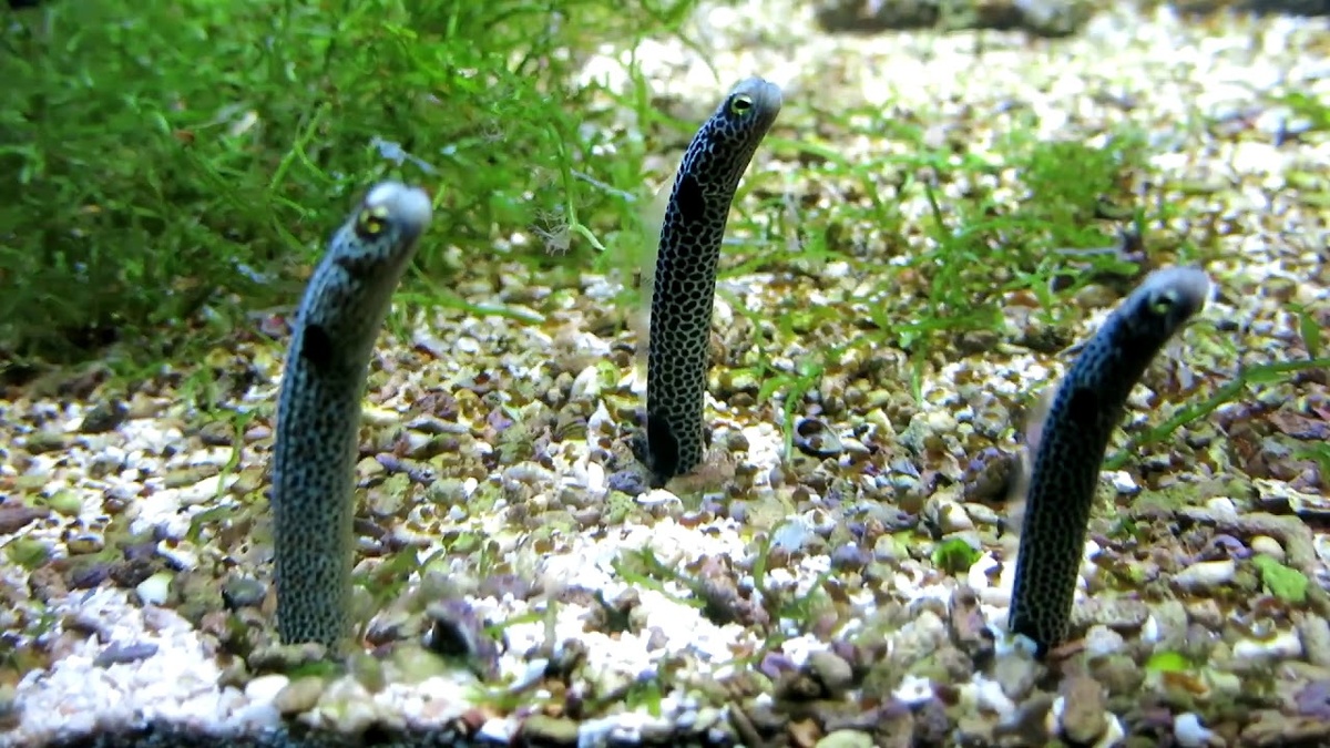 Фото взято из открытого источника 