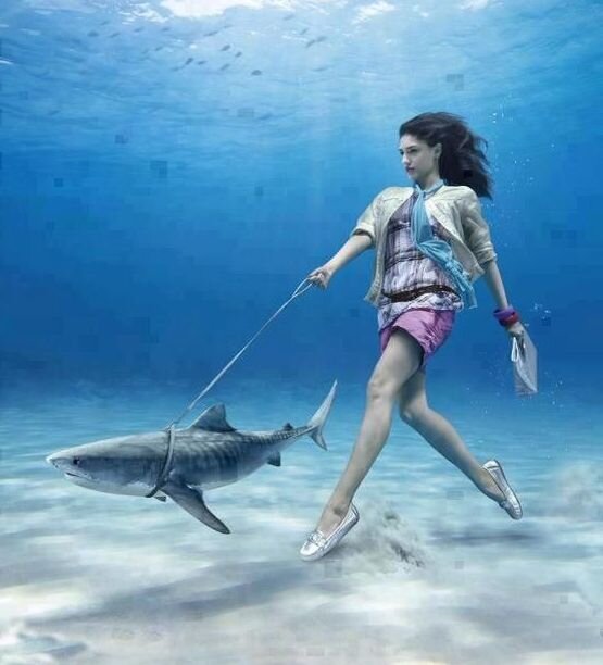 Обладатели 6 Ворот могут быть конфликтны