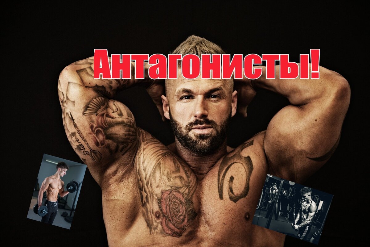 Источник: httpspixabay.com