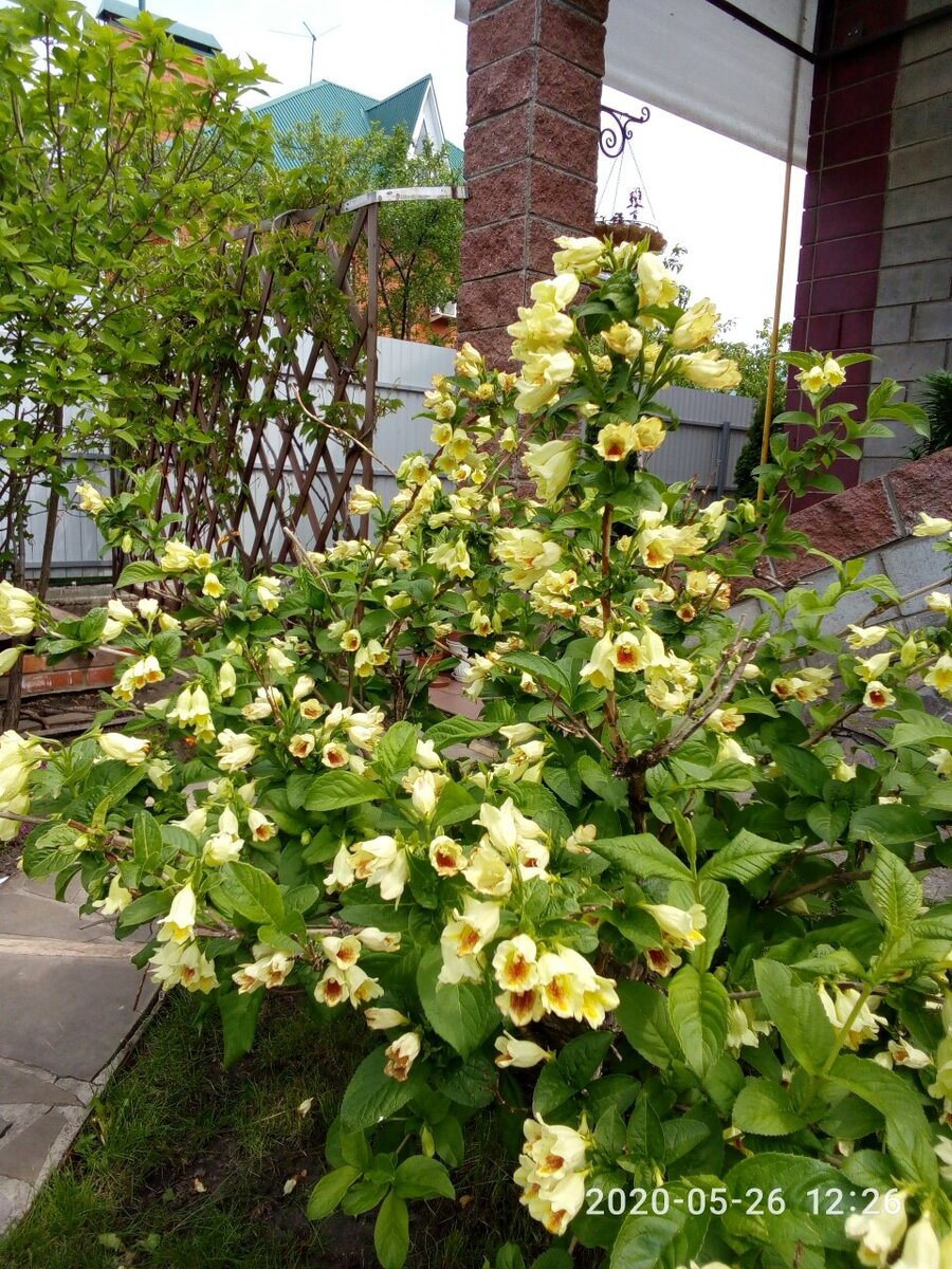 Нам всем желаю побольше тёплых деньков ☀️