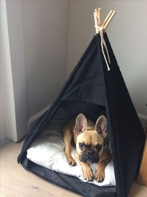 Фото: pinterest.ru