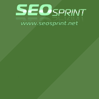 Отсутствие финансовых вложений
