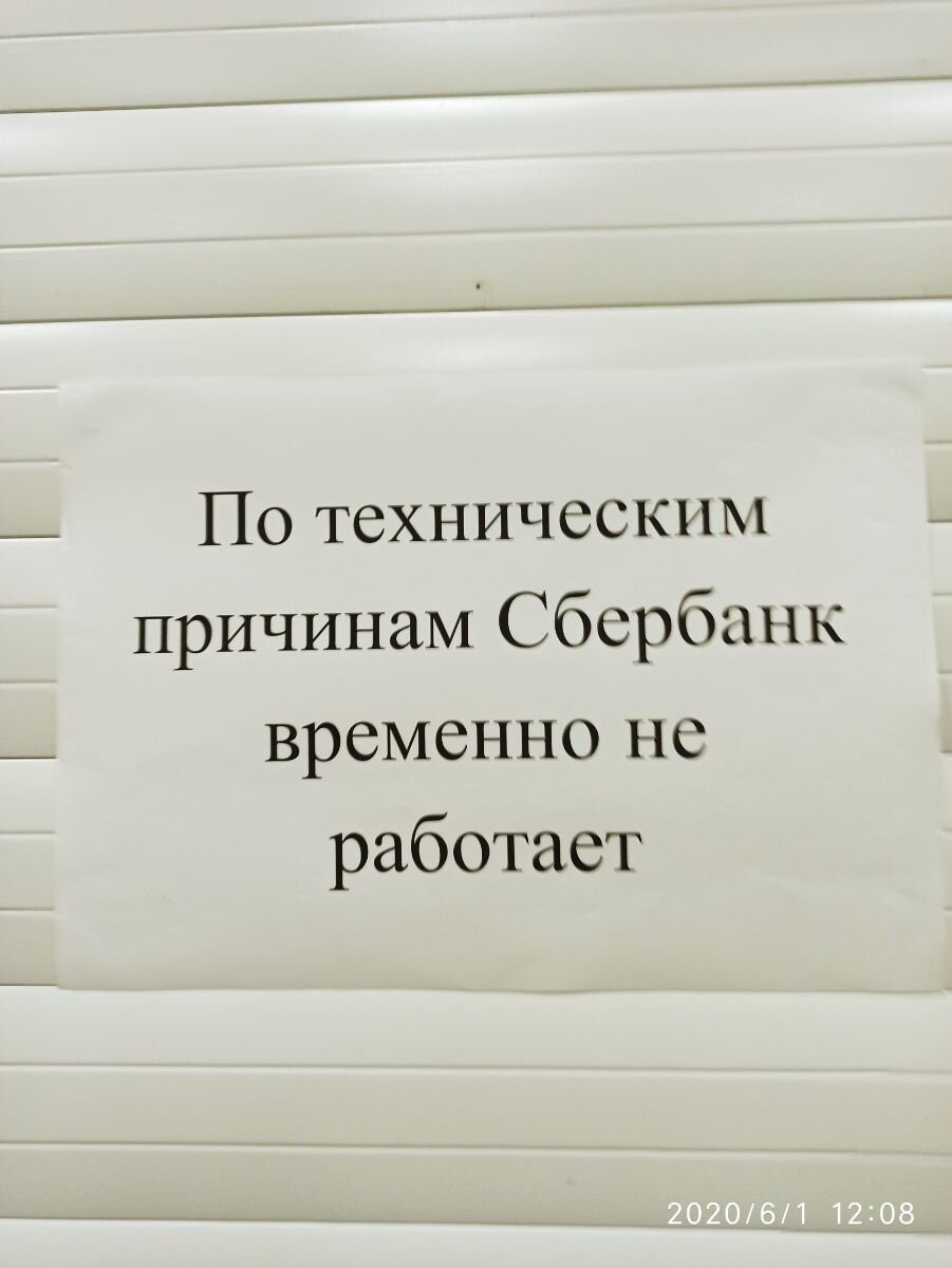 фото собственное