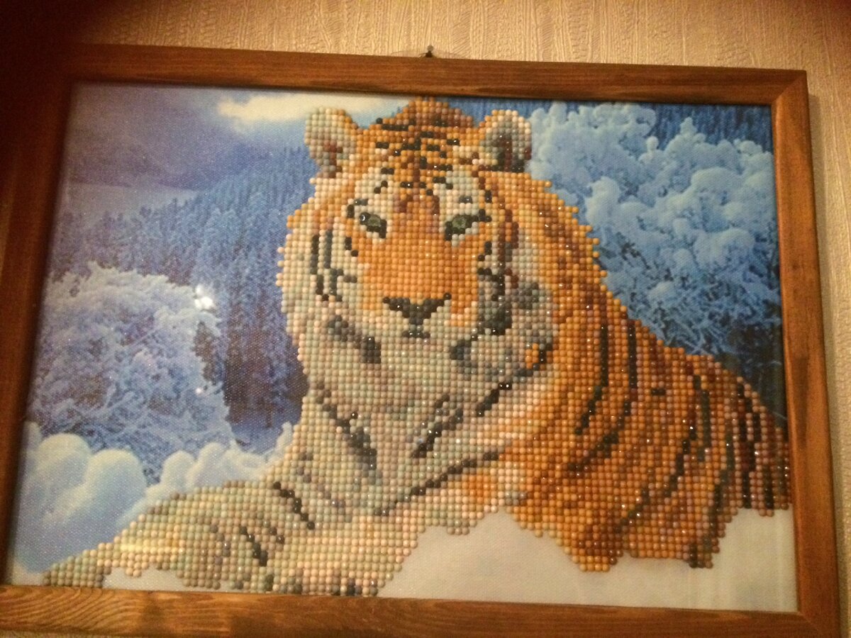 Наш тигр.