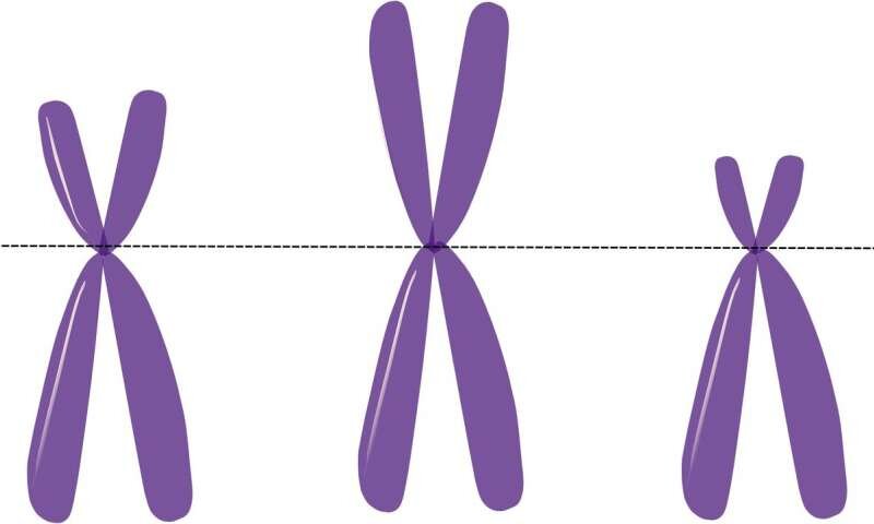 Кредит: CC0 Public Domain