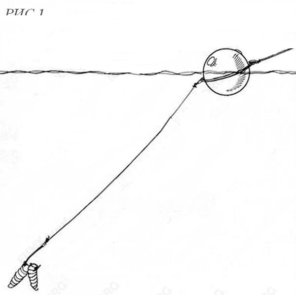 Калужский шарик снасть для зимней рыбалки. Водоналивной поплавок снасть на голавля. Поплавочная снасть на чехонь. Водоналивной скользящий поплавок. Оснастка для ловли чехони на течении на поплавок.