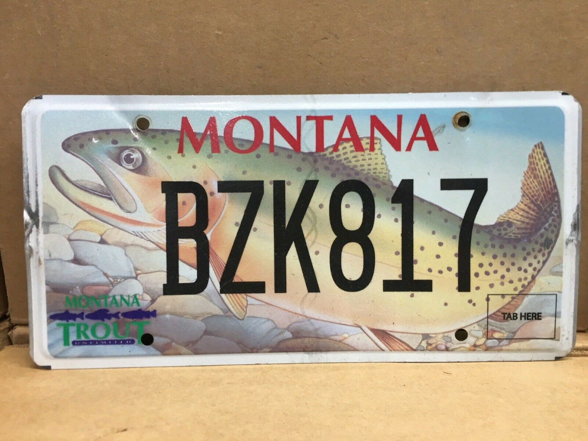 Фото из интернета.