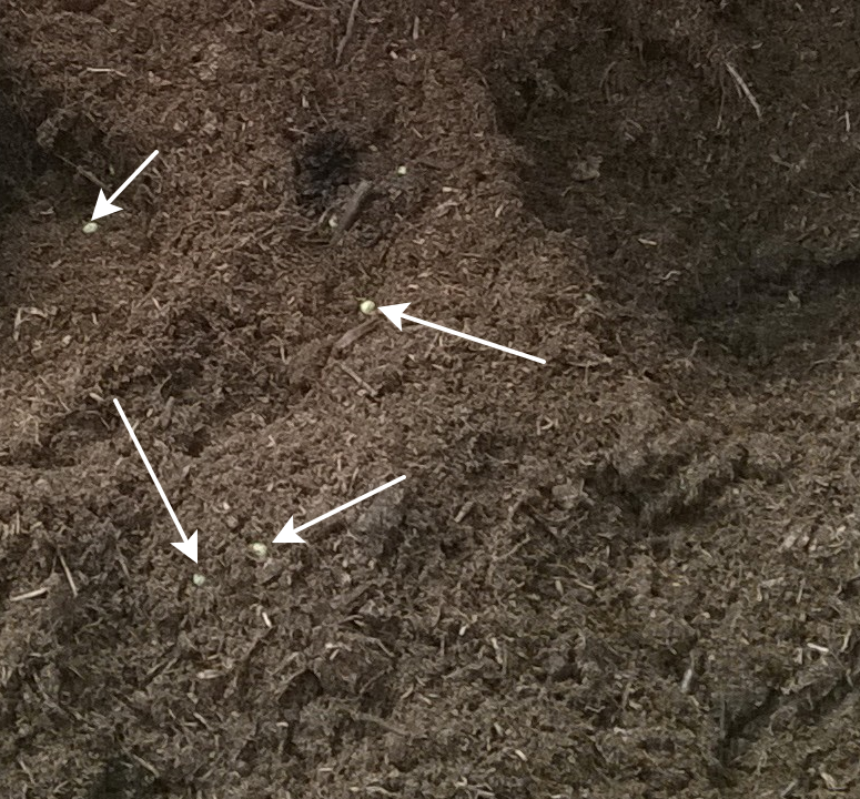 Первый способ применения удобрения. Перемешивание с субстратом. Добавляем дозу, указанную на упаковке в торф.