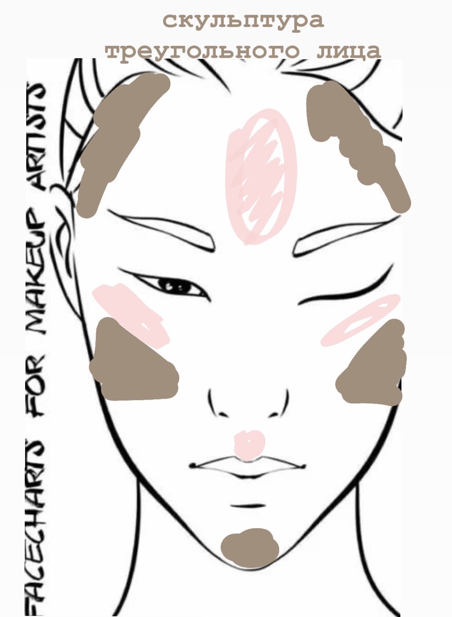 Схема нанесения скульптора. Схема нанесения пудры. Схема нанесения пудры на лицо. Схема нанесения скульптора на лицо.