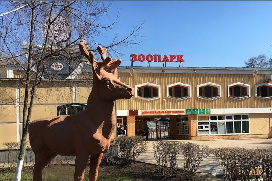 Зоопарк липецк фото