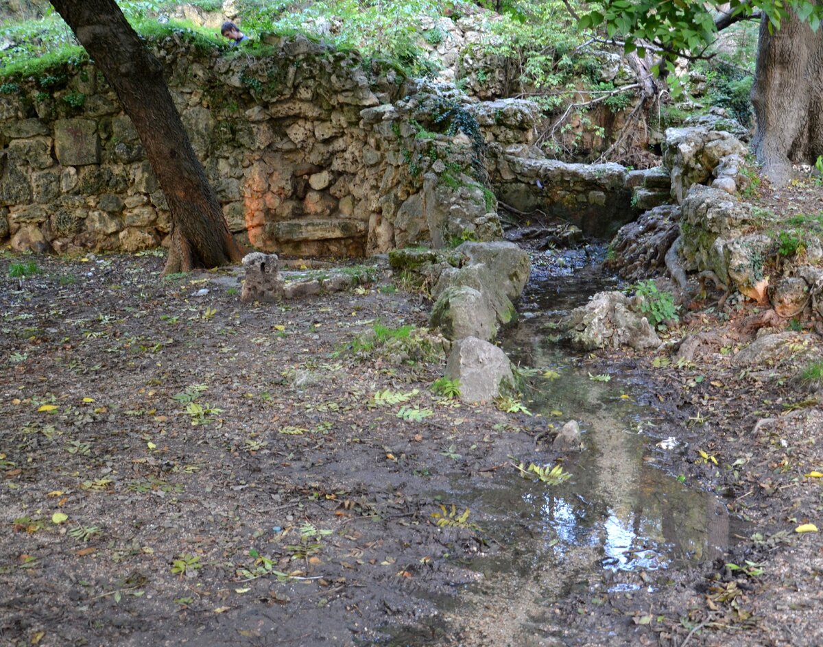 Остатки былого великолепия - развалины ландшафтного парка на Максимовой даче в Севастополе. Фото автора.