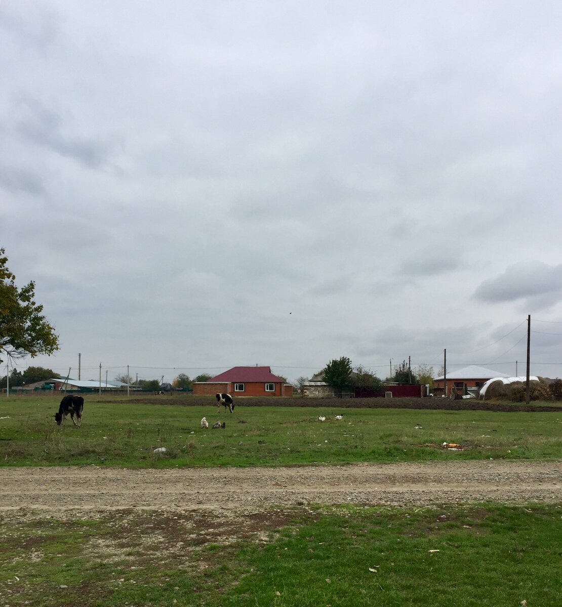 К этой дороге я выношу пакеты с мусором... Вид с моего участка