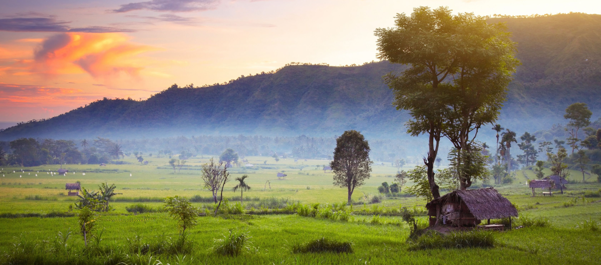 Бали. Фото из открытых источников.