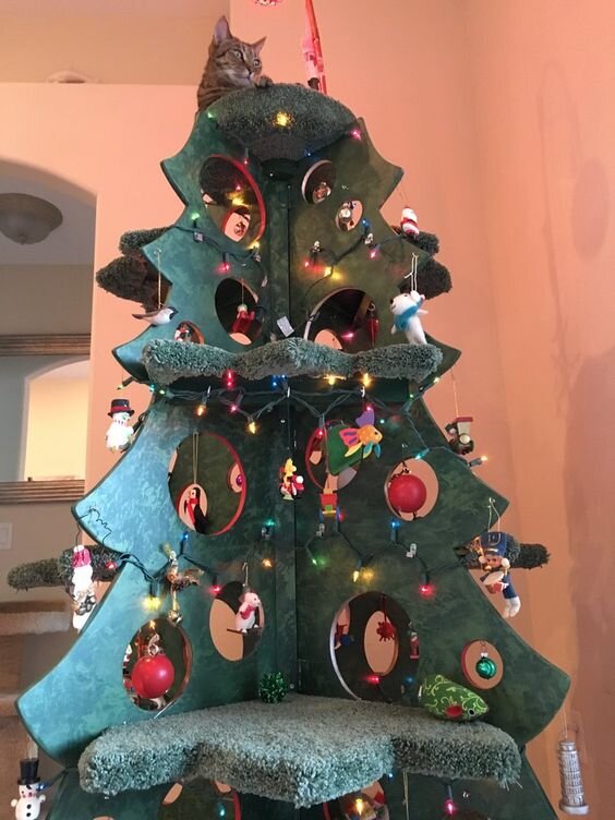 Источник: //squarepaws.com/product/catmas-tree-3d-version/
