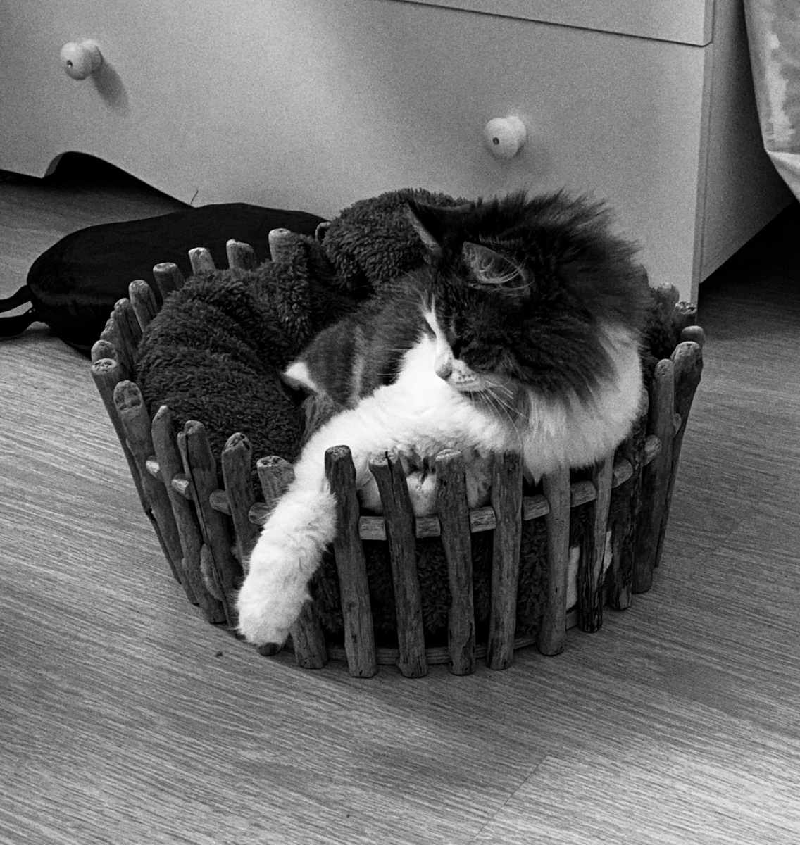 Один из пострадавших и реквизит