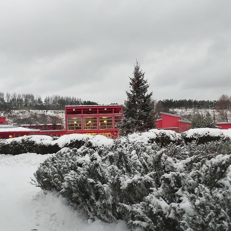 Фото https://www.instagram.com/p/CJQ58lnDioO/