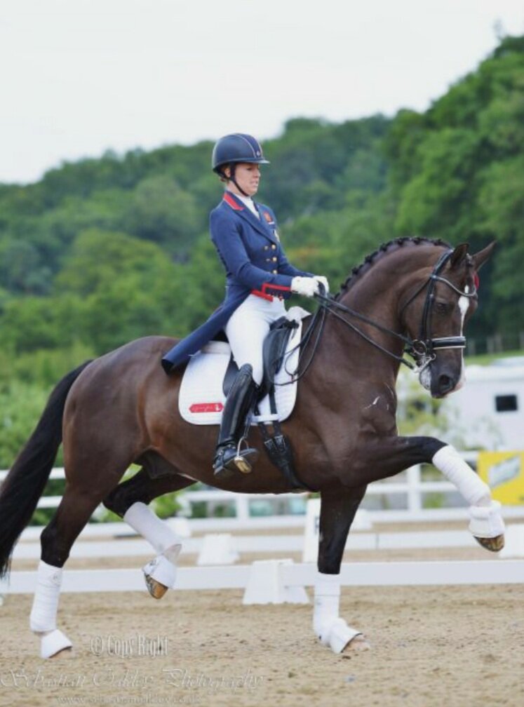 Фото из открытых источников