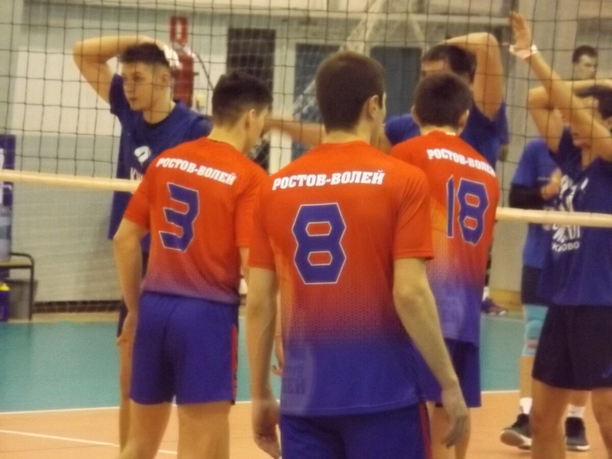Волейбол чемпионат россии высшая лига а мужчины