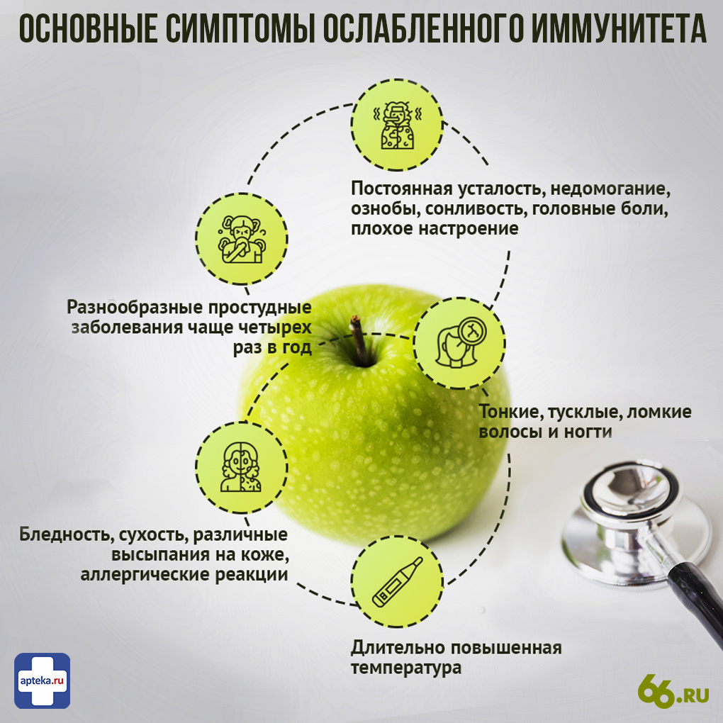 Фото: Анна Коваленко, 66.RU