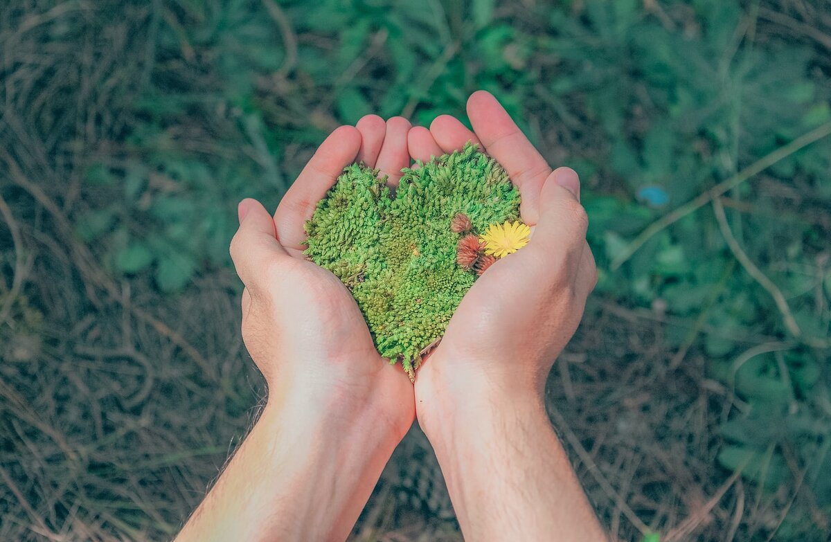 https://www.pexels.com/ru