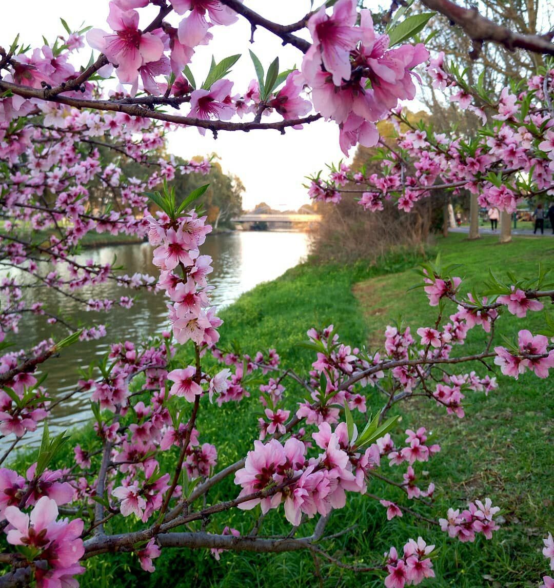 Парк Яркон, Тель-Авив