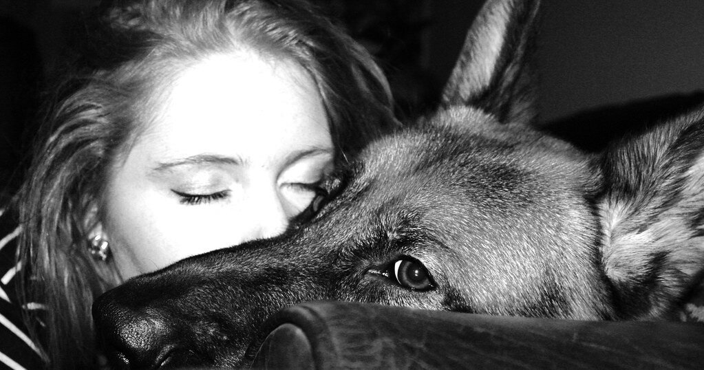 Фото из открытого источника в интернете