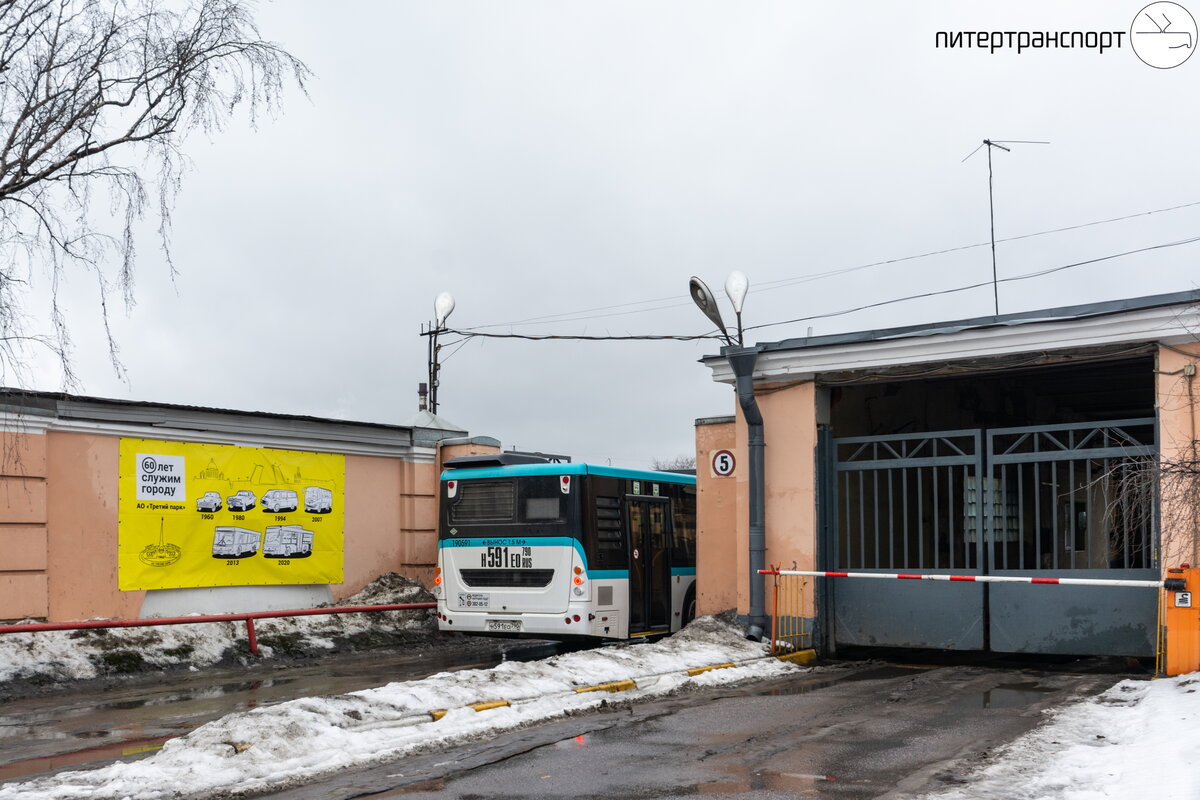 В СПб появились 3 автобуса на принципиально новом топливе. Что за зверь? |  Питертранспорт | Дзен