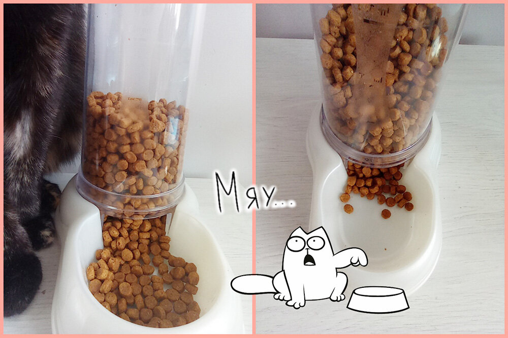 Корм перестал высыпаться. Кот Саймона здесь для красоты.