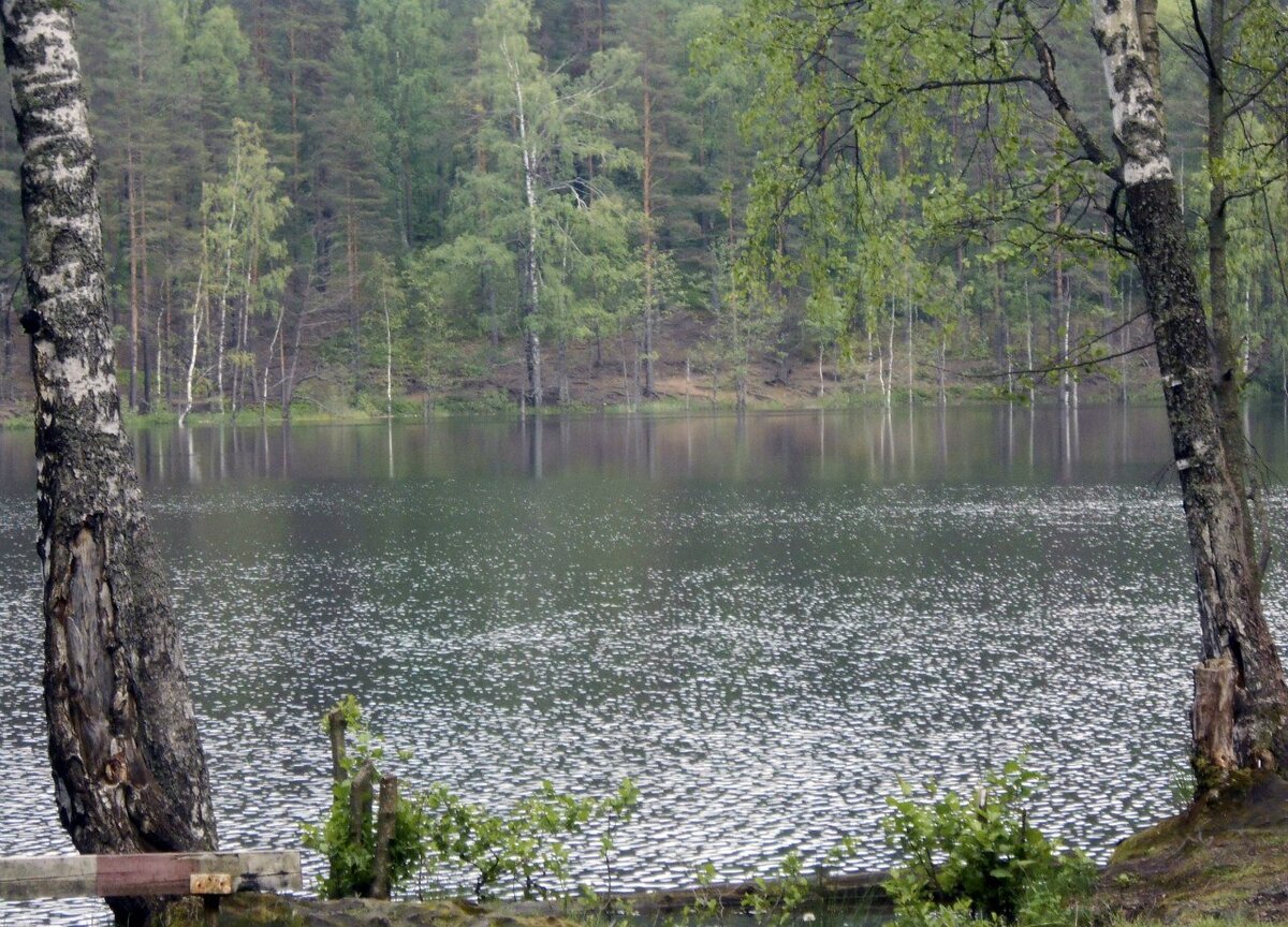 То ли это будет пруд, то ли озеро, то ли река ))))