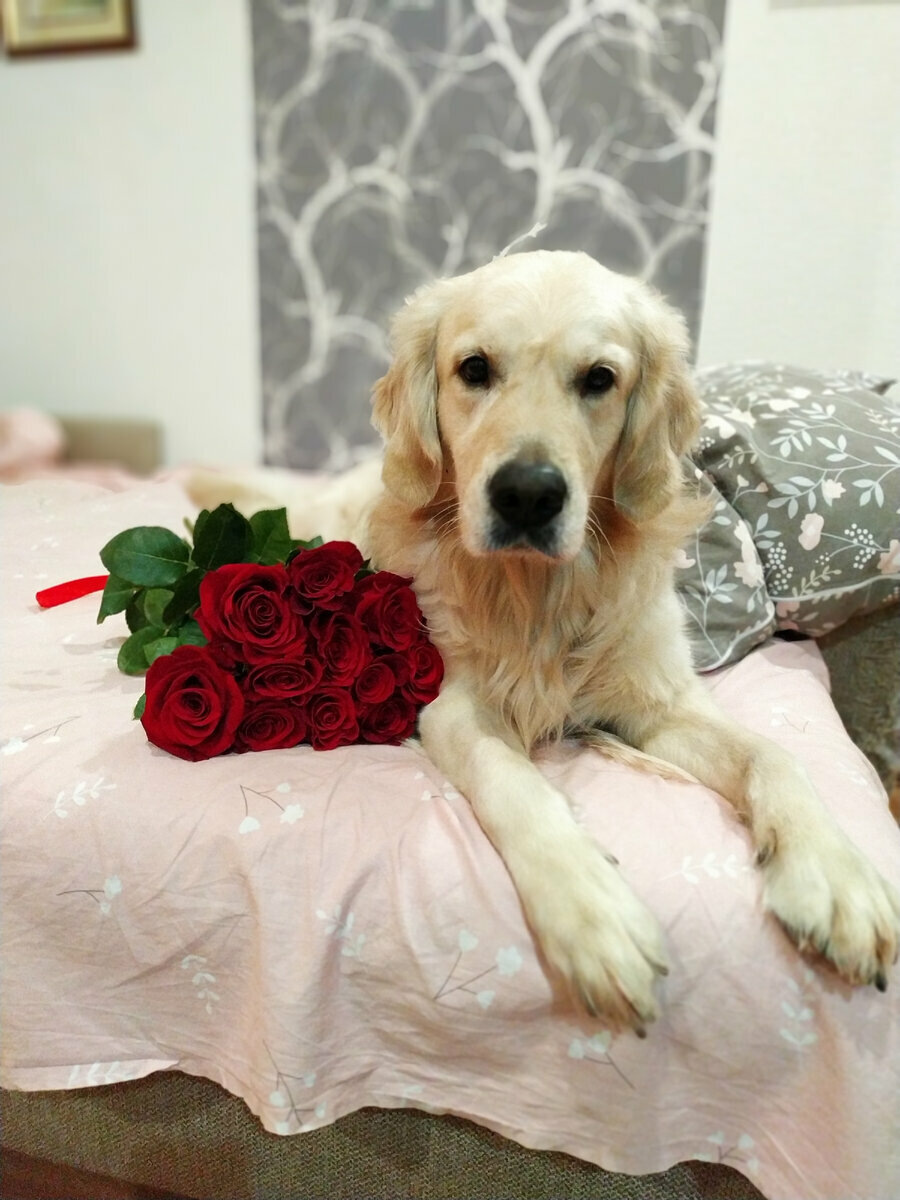 Так у меня есть соперник!?