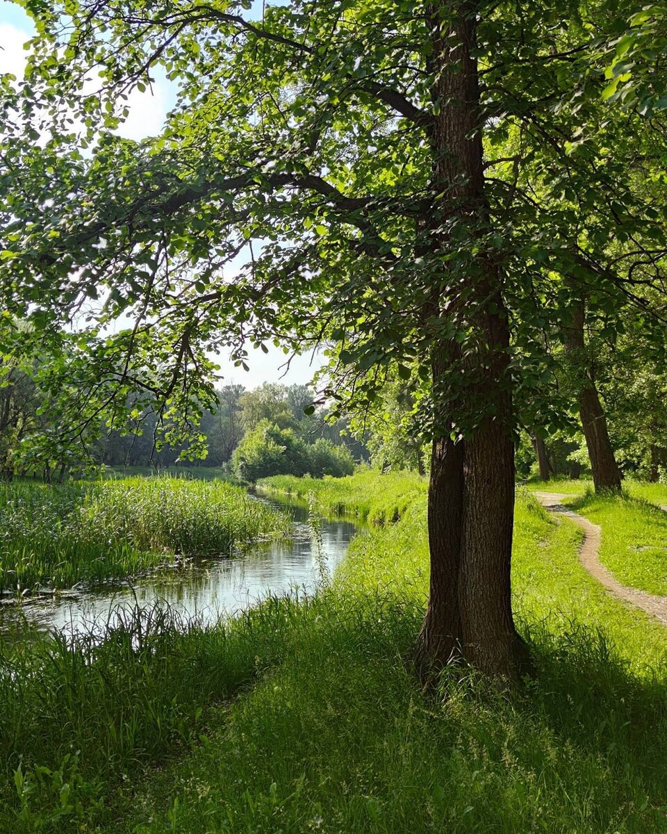 Фото-Марина Быкова
