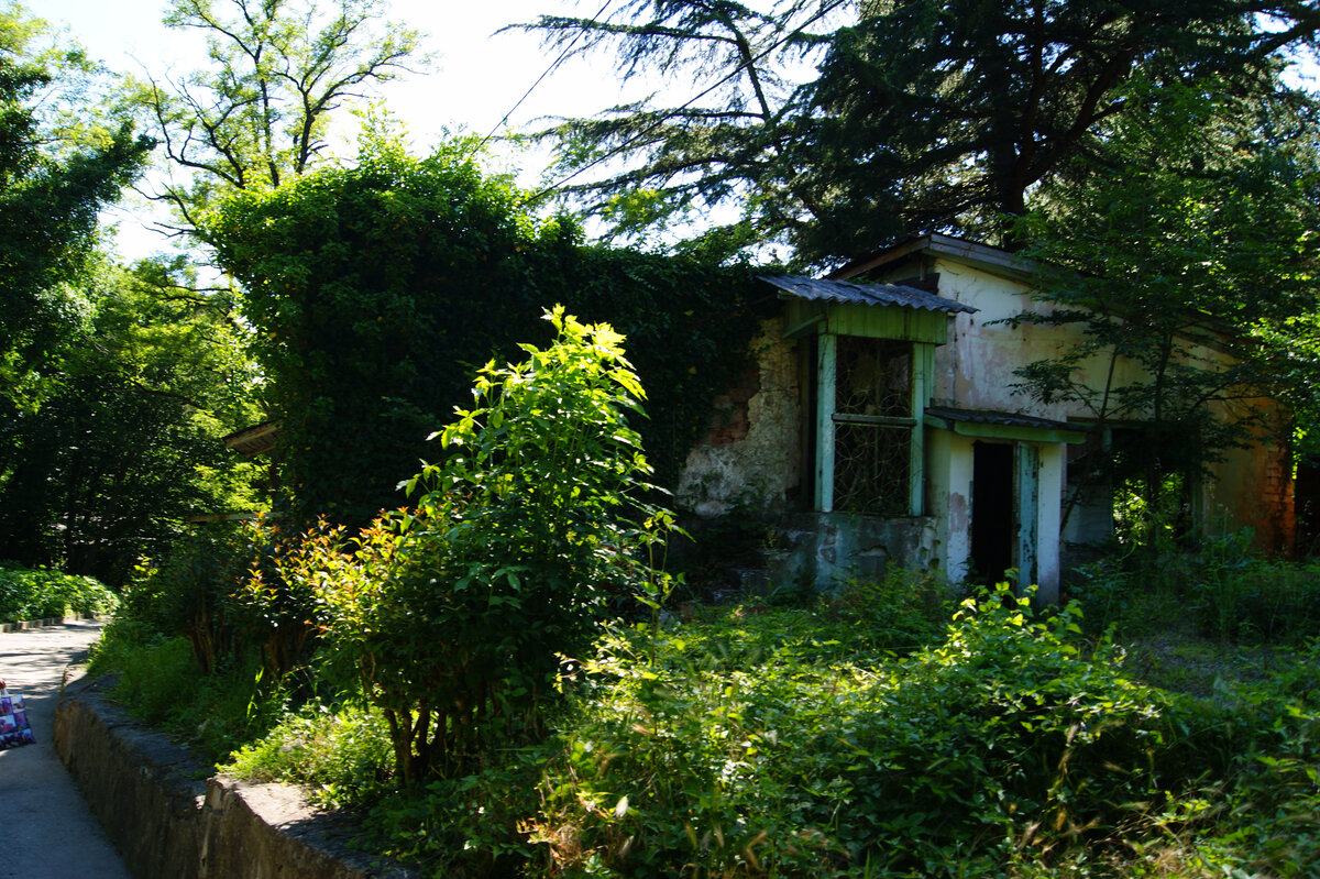 по пути к пляжу   (листайте галерею)