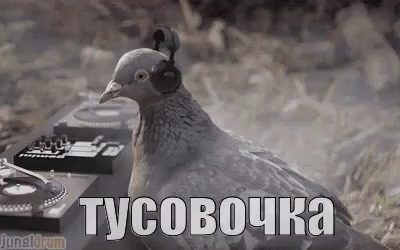 -4
