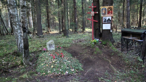 вОТ ЭТОТ ЛЕС.  Где скрыты расстрельные могилы.