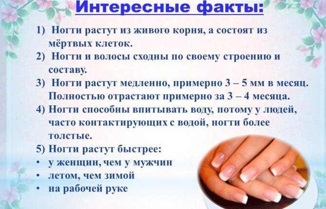 Почему ногти растут быстро а волосы медленно растут