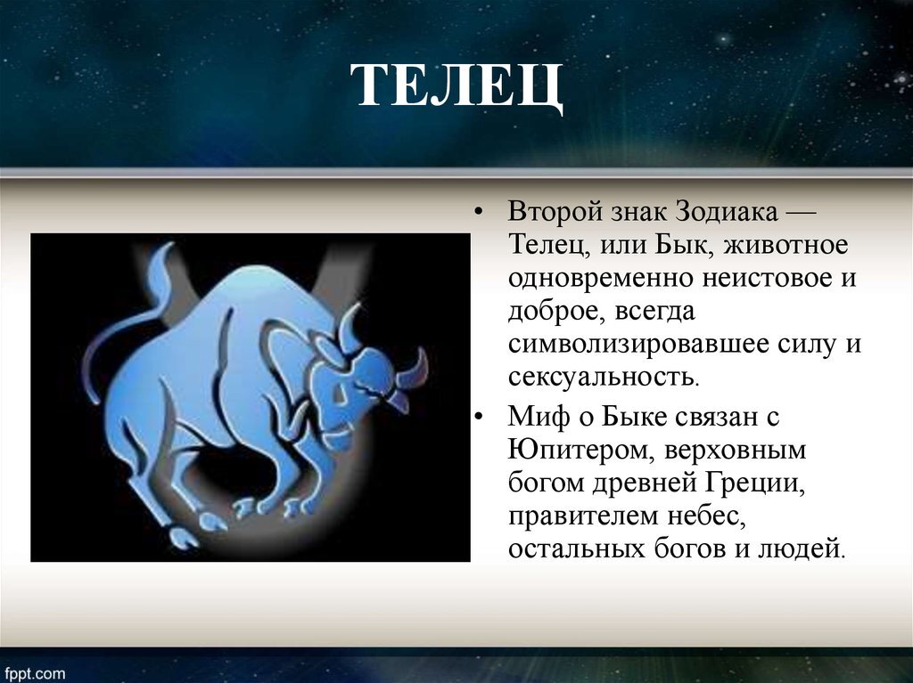 Зодиак описание. Телец по гороскопу. Знак зодиака Телец. Информация про Тельцов. Телец характеристика.