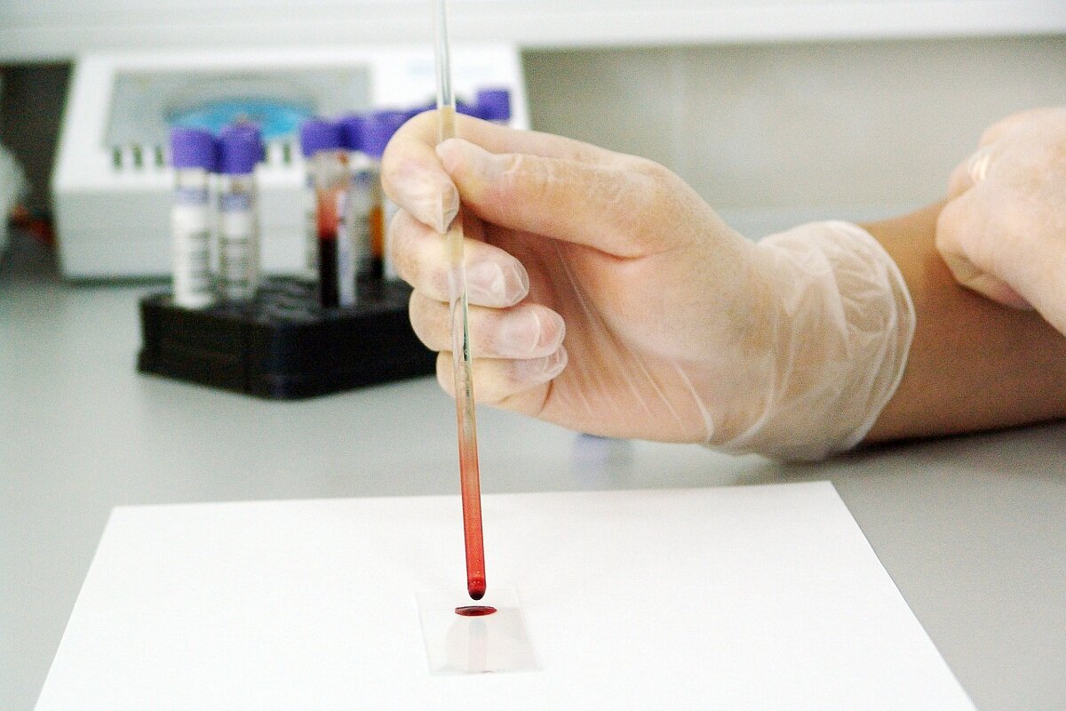 Фото: PublicDomainPictures/Pixabay