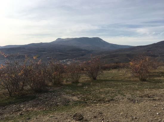     фото: crimea.mk.ru