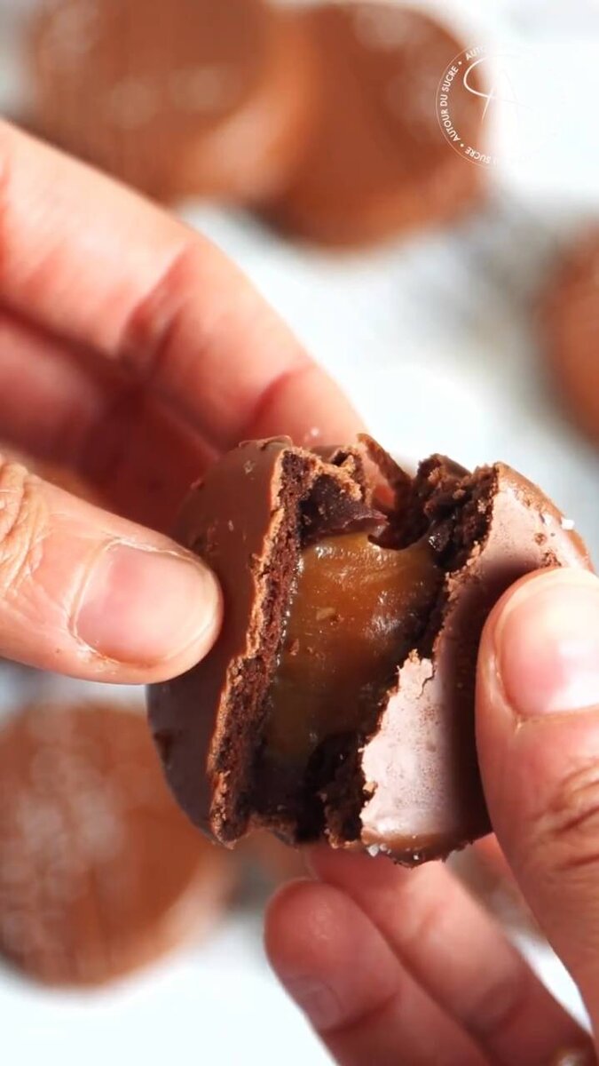 Перевод с французского языка