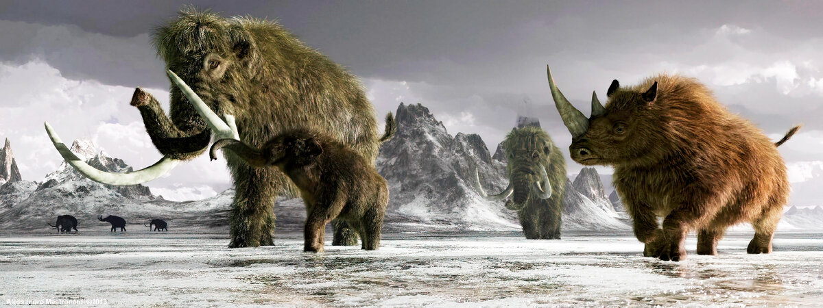 Шерстистый носорог. Носорог из плейстоцена. Вымершее животное. Факты о животных