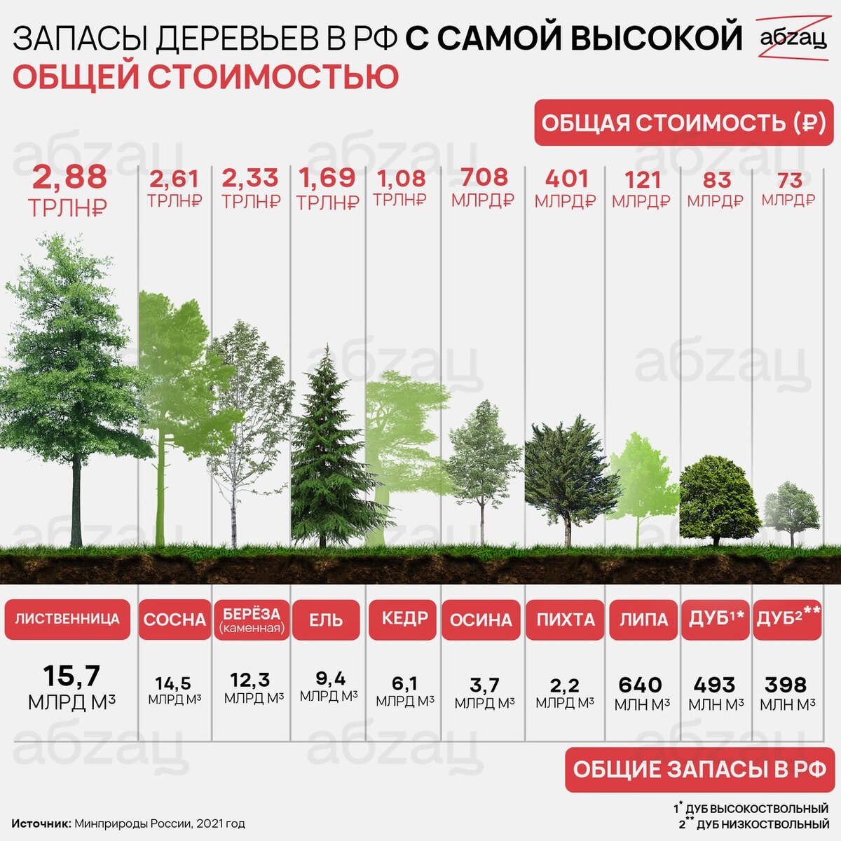 Фото: Абзац