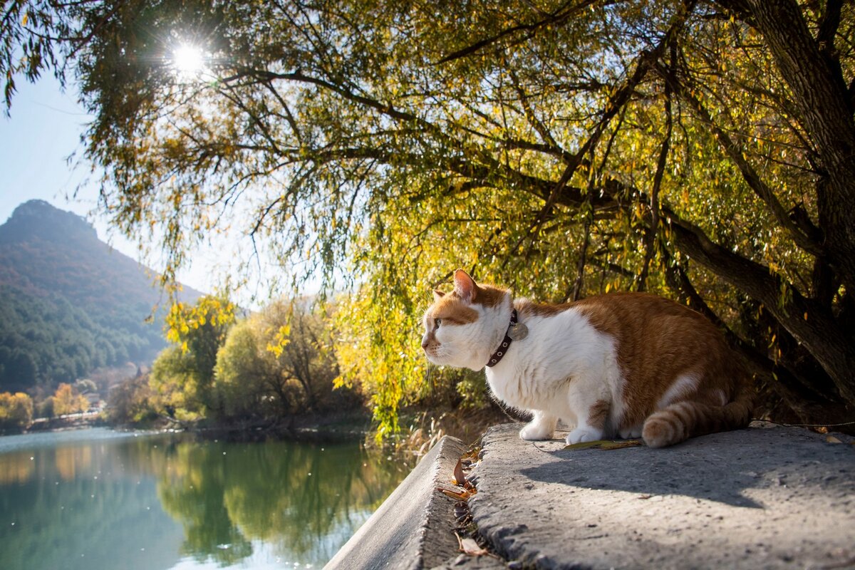 Выбираю места с лучшими видами для прогулок по Крыму! 