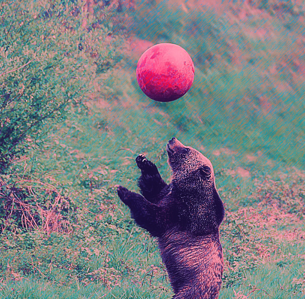                                           Те самые олимпийские медведи....