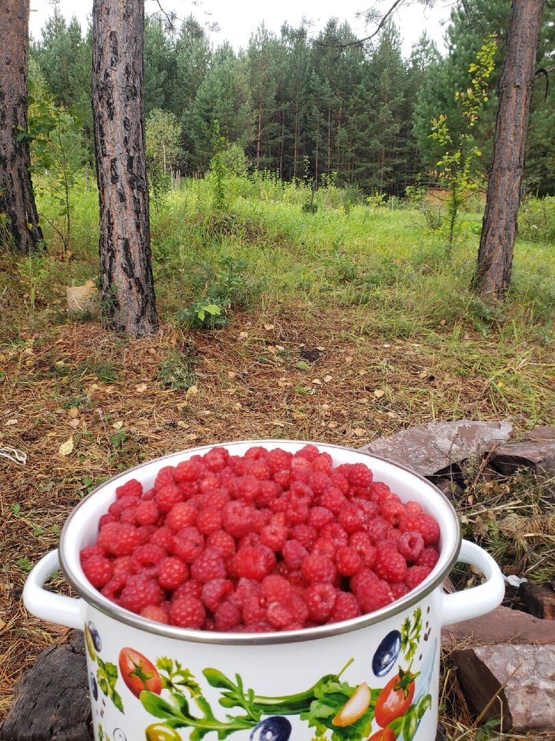 Малиновую радость