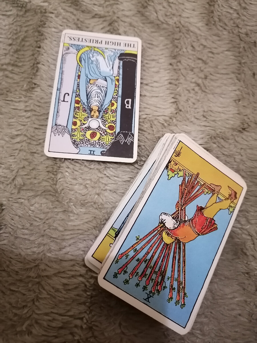 Фото автора.